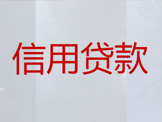 海口信用贷款中介公司